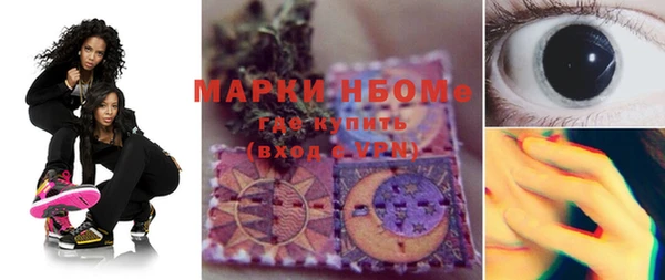 индика Балабаново