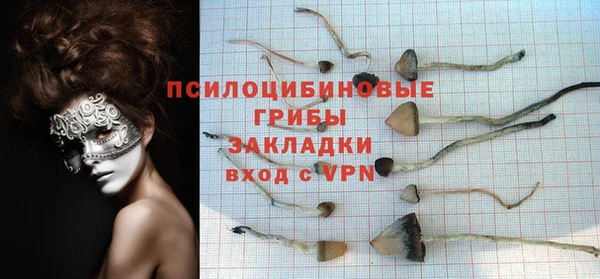 таблы Белокуриха