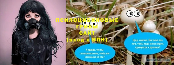 марки lsd Белоозёрский
