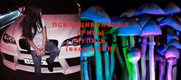 индика Балабаново